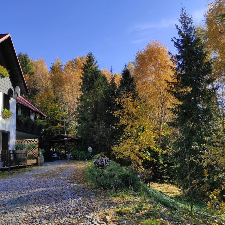 Apartamento Kocia Górka Wisła Exterior foto