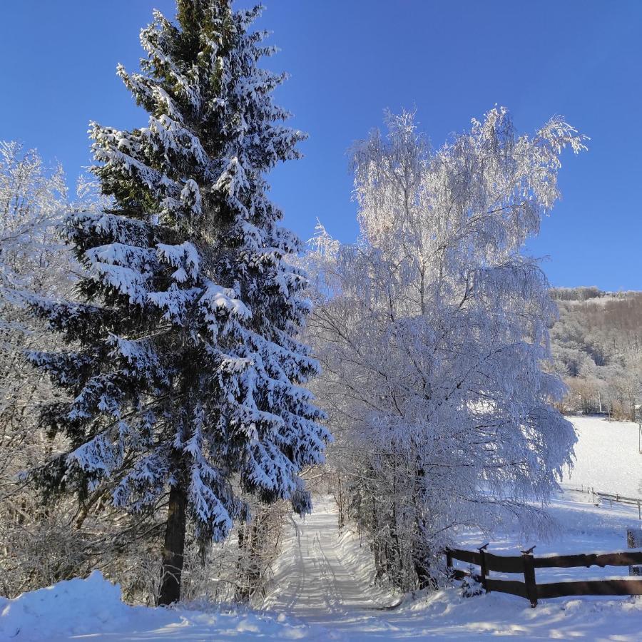 Apartamento Kocia Górka Wisła Exterior foto